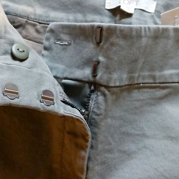 Ann Taylor Loft Shorts sz 10 - Picture 7 of 9